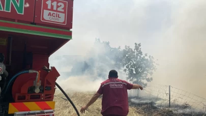 Tarım arazisi yangını ormana sıçradı!