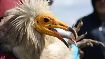 Midas 101 bin km uçtu, 9 ülke geçti