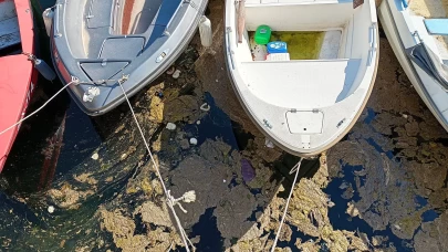 Karamürsel'de denizde köpüksü tabaka oluştu