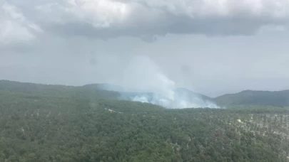 Aydın’daki orman yangını!