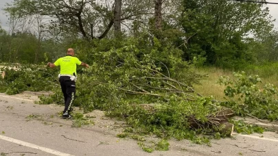 Ağaçlar devrildi şehir adeta durma noktasına geldi