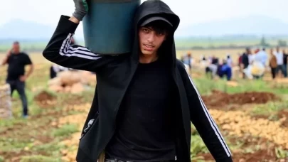 Adana'da erkenci patates hasadı