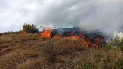 Samandağ bölgesinde ekipler devreye girdi