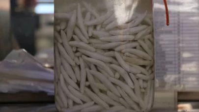 Kilosu 12 bine dayandı: Dağlarda yetişiyor, toplaması olay