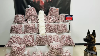 Kocaeli'de uyuşturucu operasyonunda 1 şüpheli tutuklandı