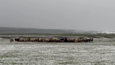 Kars'ta dolu ve sağanak etkili oldu