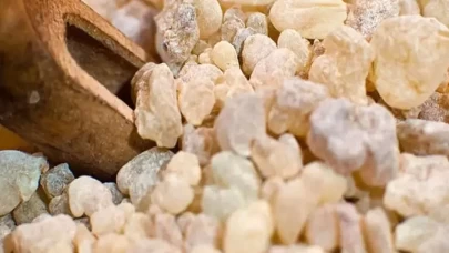 Sandaloz sakızı nedir? Faydaları nelerdir?