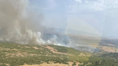 İzmir Foça'da tarım arazisinde yangın çıktı