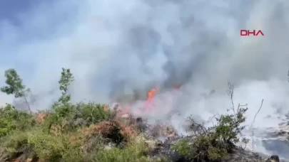 Alanya'da korkutan yangın! Arı kovanları zarar gördü