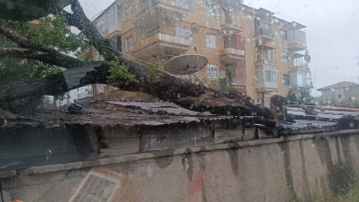 Kırıkkale'de fırtına ağacı devirdi