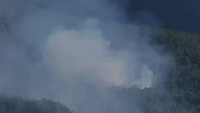 Hatay Arsuz’da orman yangını çıktı