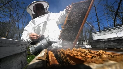 Arıcılara geçen yıl 984,6 milyon lira destekleme ödemesi yapıldı