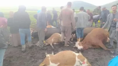 Kars’ta sürünün üzerine yıldırım düştü: 2 çoban yaralandı, 10 hayvan telef oldu