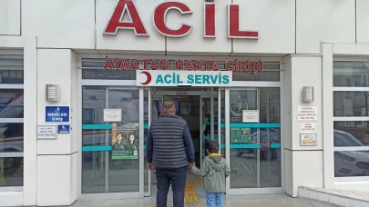 Başıboş köpeklerin saldırısına uğrayan Baturalp, yaralandı