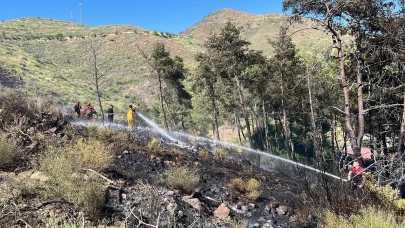 Marmaris'te çıkan orman yangını kontrol altına alındı