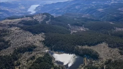 Ankara'da ormanlık alanlara giriş yasağı