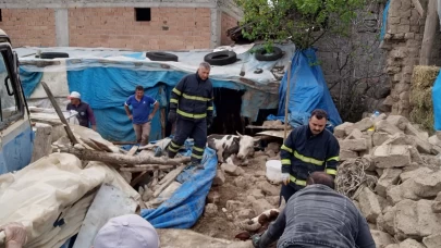 Merzifon'da ahır çöktü: 2 büyükbaş hayvan kurtarıldı