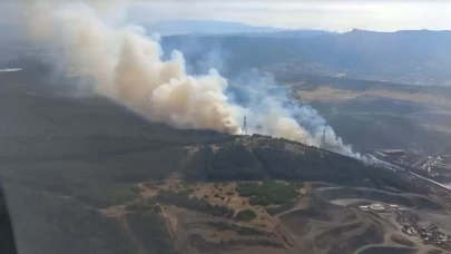 İzmir'de orman yangını!