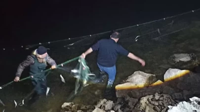 Van'da 5 ton kaçak inci kefali ele geçirildi, canlılar suya salındı