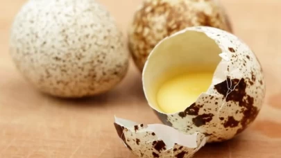 Püf Noktalarıyla Lezzetli Bıldırcın Yumurtası Tarifleri