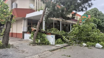 Turgutlu'da şiddetli rüzgar nedeniyle ağaçlar devrildi