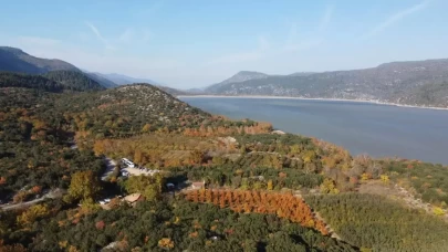 Isparta'da ormanlara giriş yasağı