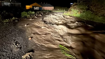 Ardahan'da sel 2 köyde hasara yol açtı