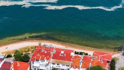 Marmara Denizi'nde müsilaj yeniden ortaya çıktı