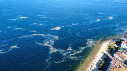 Kınalıada'da görüntülendi!! Marmara Denizi'nde kâbus yeniden hortladı