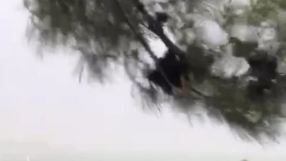 Fırtına vatandaşlara zor anlar yaşattı