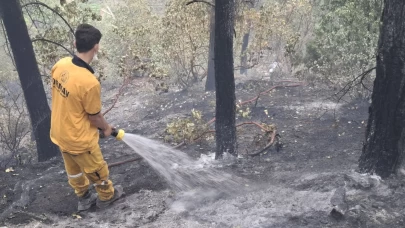 Kahramanmaraş’taki orman yangını kontrol altına alındı