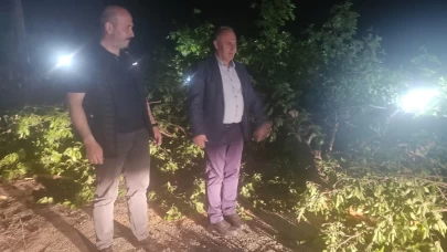 Fırtına, Artvin'de yaşamı olumsuz etkiledi: Ağaçlar devrildi, enerji hatları zarar gördü