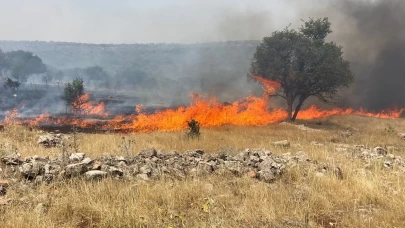 Mardin'de alevler yeniden yükseldi