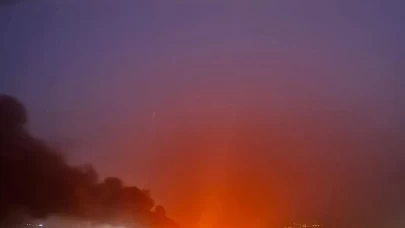 Mersin'deki Göksu Deltası'nda yangın