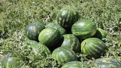 Geçen yıl 4 kez toplamıştı, hedef değişmedi...