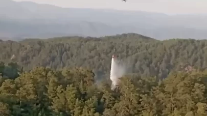 Aydın ve Muğla’daki orman yangınlarına hızlı müdahale