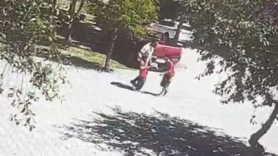 Ahlat'ta başıboş köpeklerin saldırısına uğrayan çocuk son anda kurtarıldı