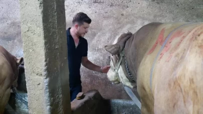 Kurban Bayramı'na günler kala satıldı!