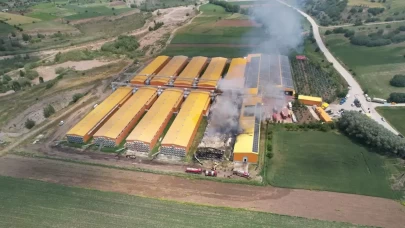 Yumurta üretim tesisindeki yangında binlerce tavuk telef oldu