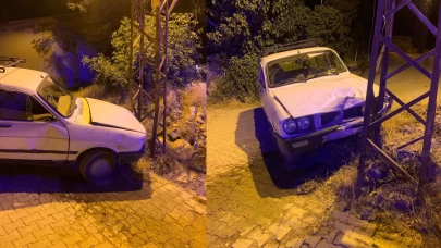 Otomobil elektrik direğine çarptı: 3 yaralı