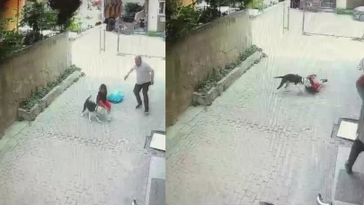 Ataşehir’de dehşet anları! Küçük çocuk canını zor kurtardı