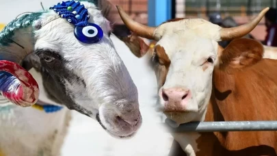 Kurban Bayramı'nda dikkat edilmesi gerekenler