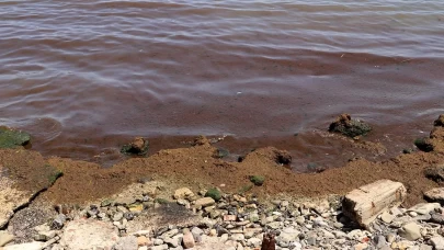 Deniz kırmızıya büründü...