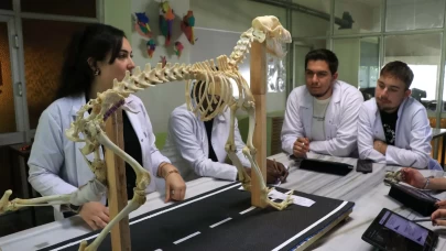 Hayvan iskeletleri yapay zekayla dijitalleştiriliyor
