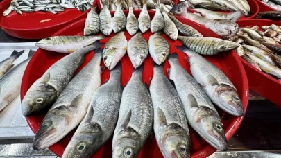 Balıkçı tezgahlarında bolluk yaşanıyor