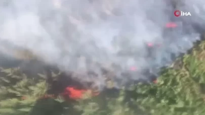 Antalya'da orman yangını!