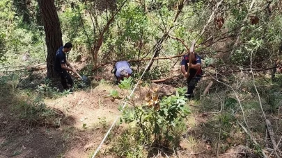 Erzin’de uçurumdan düşen şahıs yaralandı
