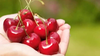 Hamilelikte kiraz yemenin önemi! İşte 5 önemli faydası