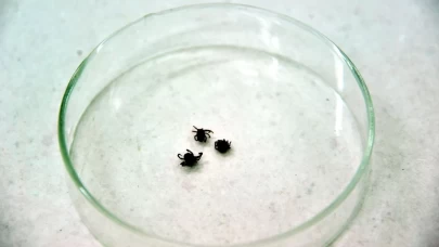 39 yaşındaki çoban hayatını kaybetti