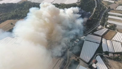 Antalya'da orman yangını